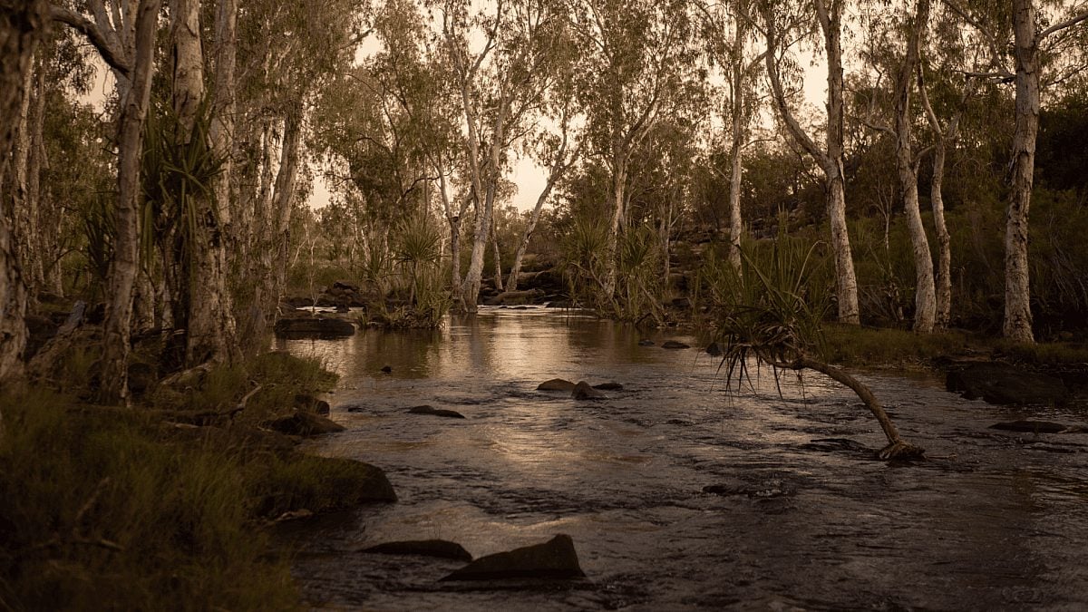 Wilderness Journal #035