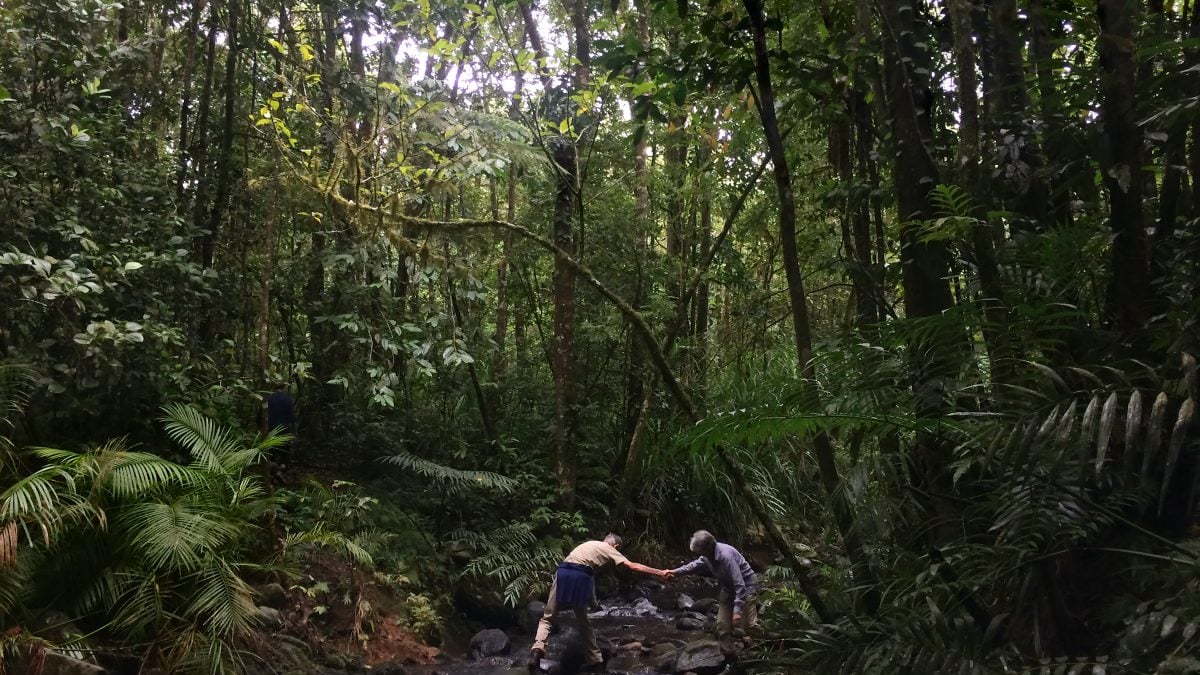 Wilderness Journal #036