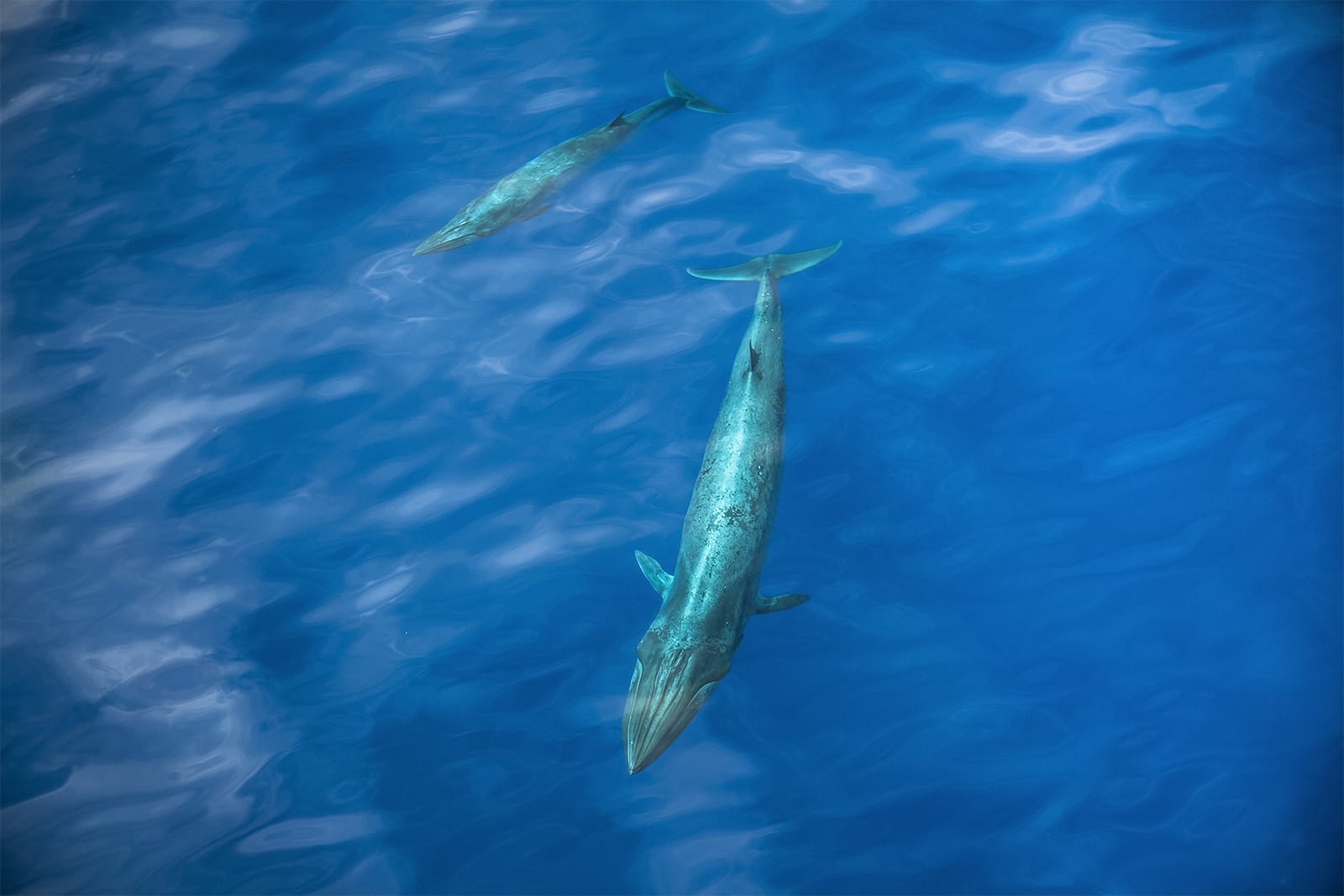 Australia deserves better than more fossil fuels