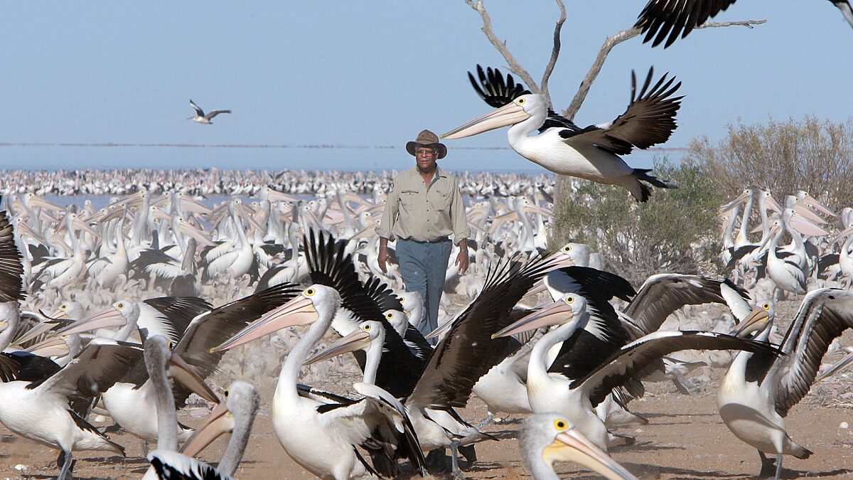 Lake Eyre Basin