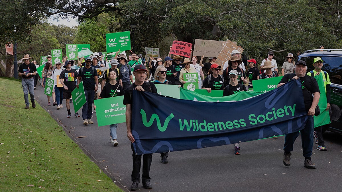 It might feel like telling the Albanese government how to suck eggs, but we expect laws that protect nature