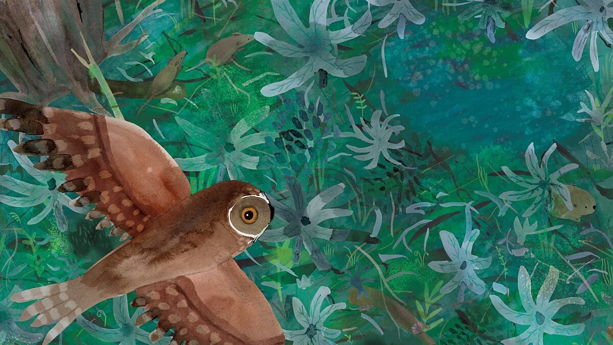 Announcing our book award winners!