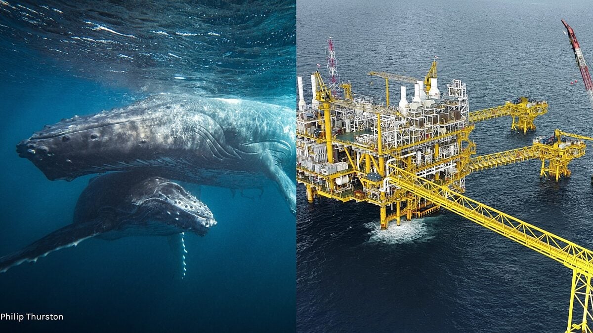 Help protect Australia's oceans from toxic trash