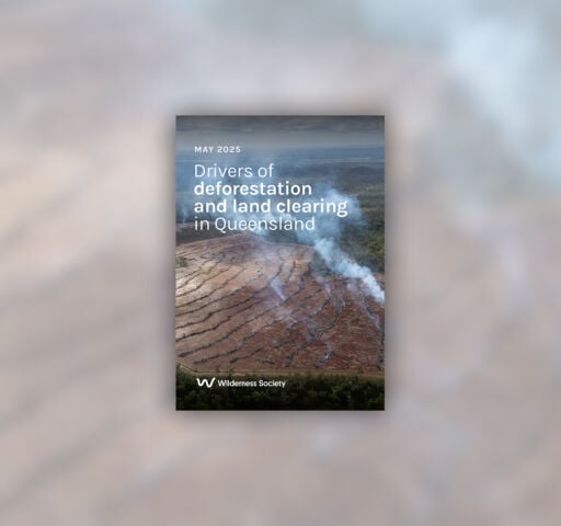Drivers of deforestation and land clearing in Queensland